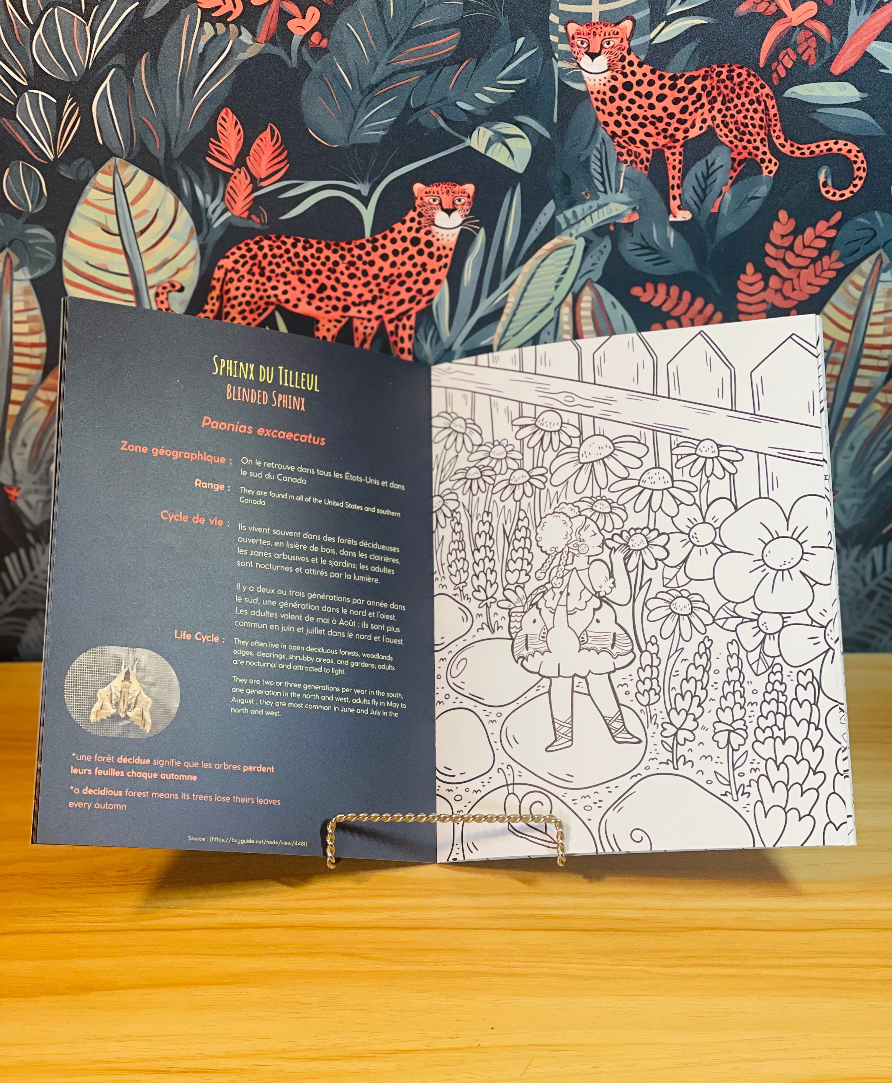Fae & Moth Coloring Book
