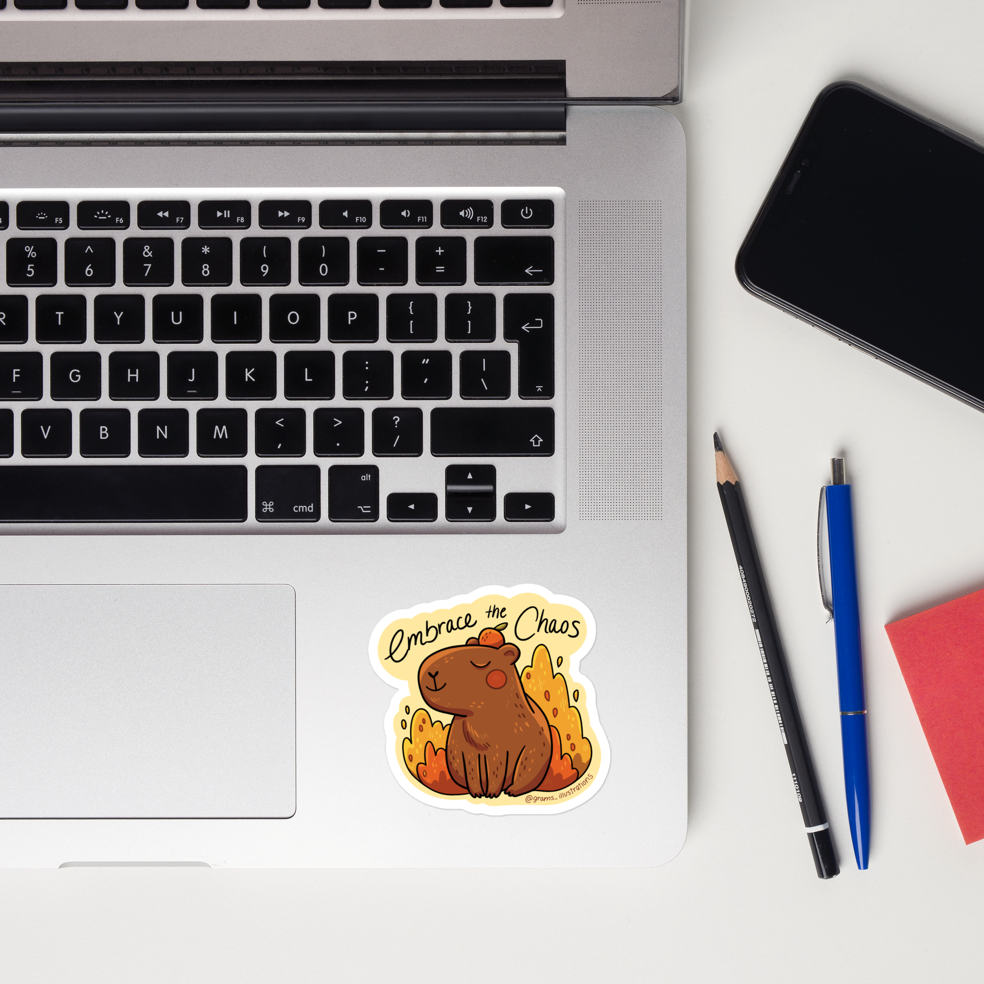 Embrace the Chaos Capybara Sticker